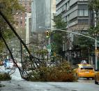 Trees are downed from Sandy on the Upper West Side of New York's Manhattan borough on Tuesday. Sandy, the storm that made landfall Monday, caused multiple fatalities, halted mass transit and cut power to more than 6 million homes and businesses. Photo by Carmine Galasso