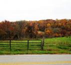 Abigail Snyder entered this photo of fall foliage surrounding the Hilly Hundred 2012 bike ride in Indiana.